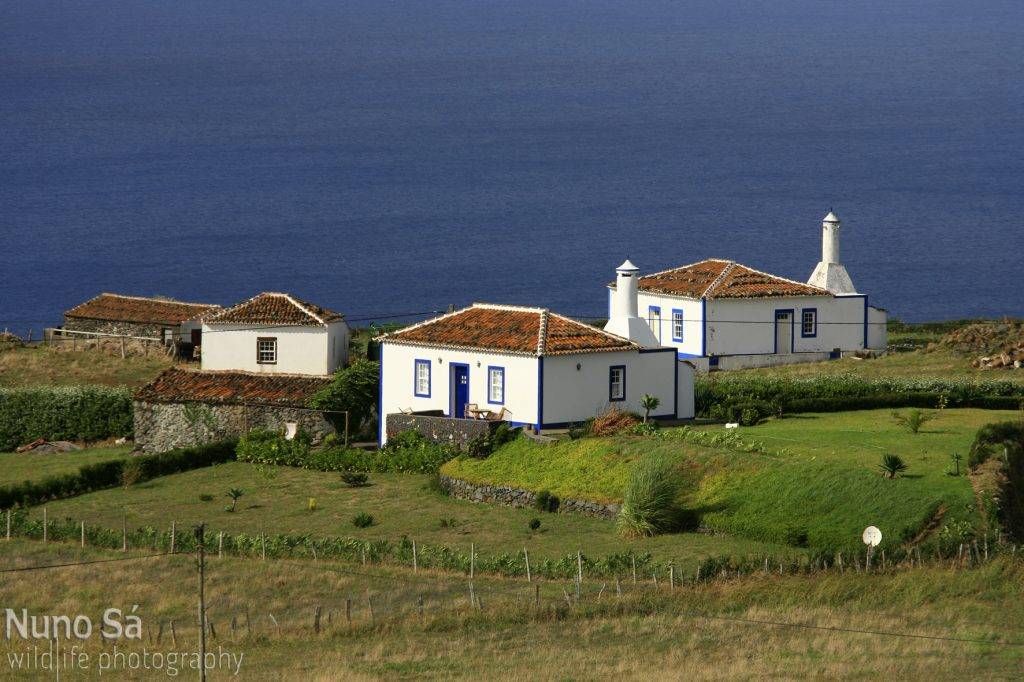 Tauchreisen Azoren | Insel Santa Maria  | Steinhäuser
